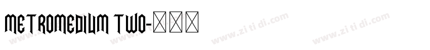 metromedium two字体转换
